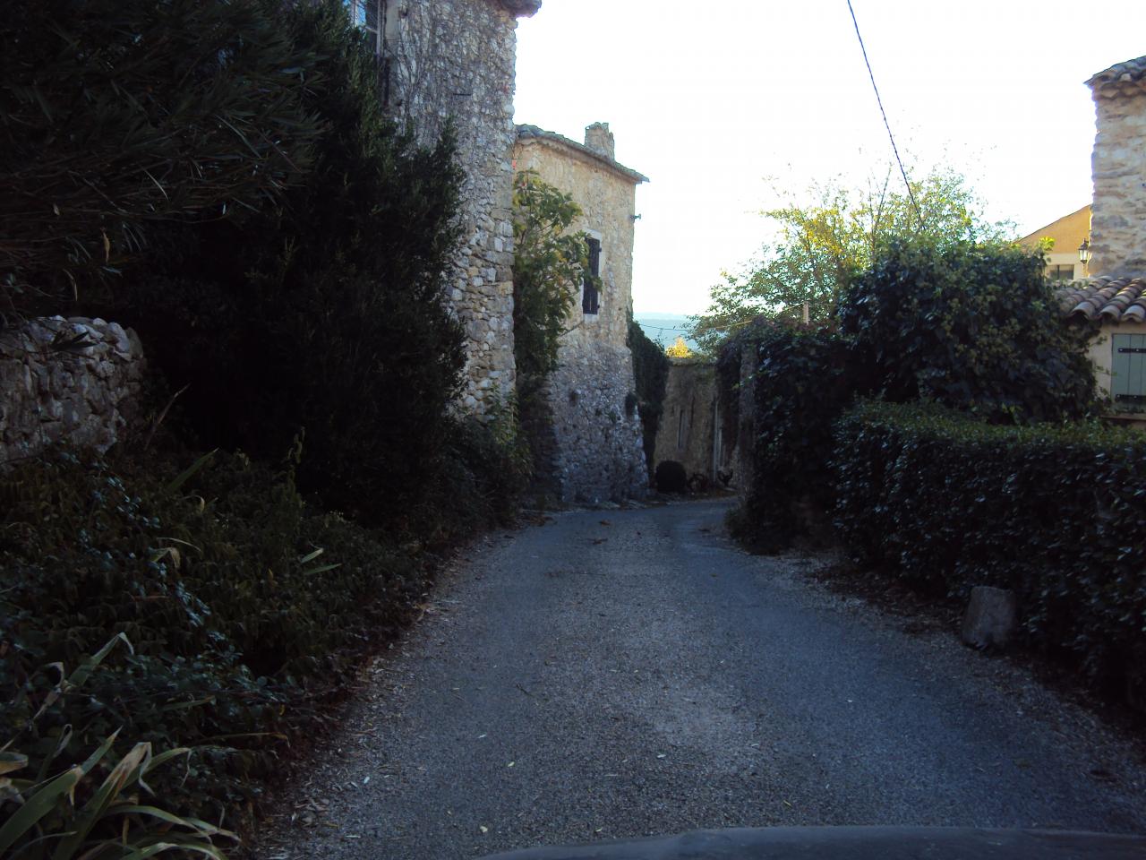 DSC01900