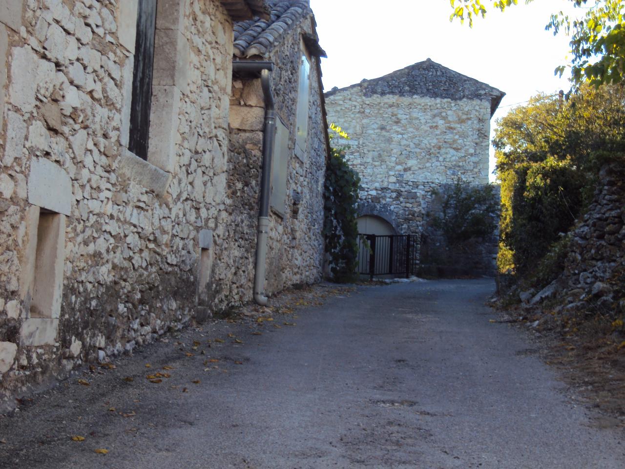 DSC01907