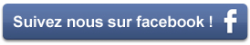 Bouton facebook