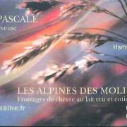 Pantelpascale